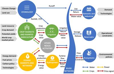 The Impact of Assuming Perfect Foresight When Planning Infrastructure in the Water–Energy–Food Nexus